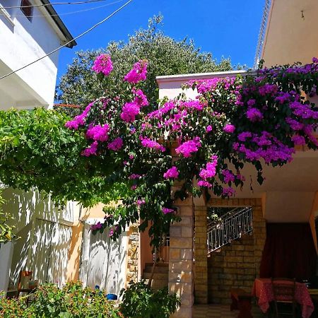 Apartmani Leon Biograd Na Moru Exterior photo